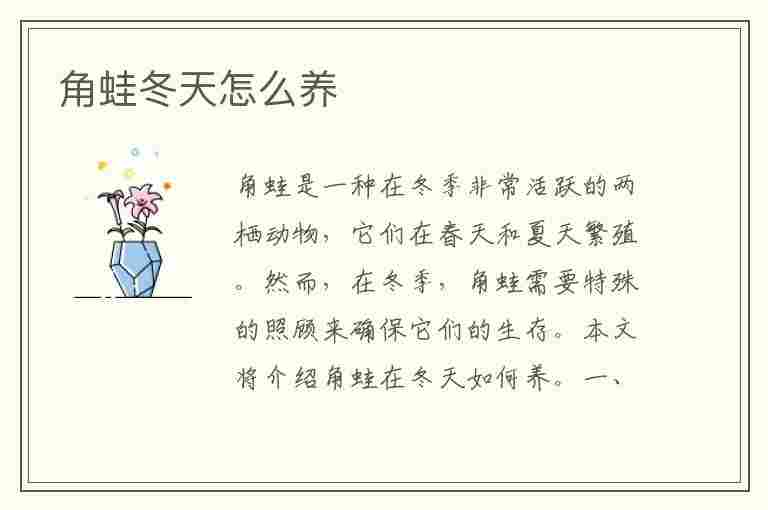 角蛙冬天怎么养(角蛙冬天怎么养会冬眠么)